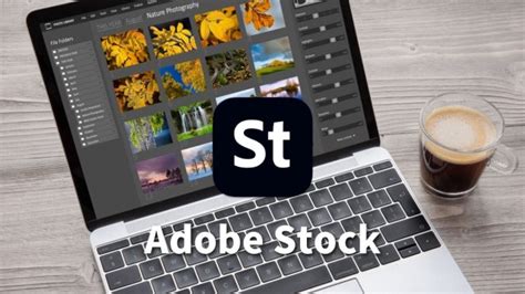 賺錢圖|【簡單】Adobe Stock賣照片 被動收入賺錢的方法公。